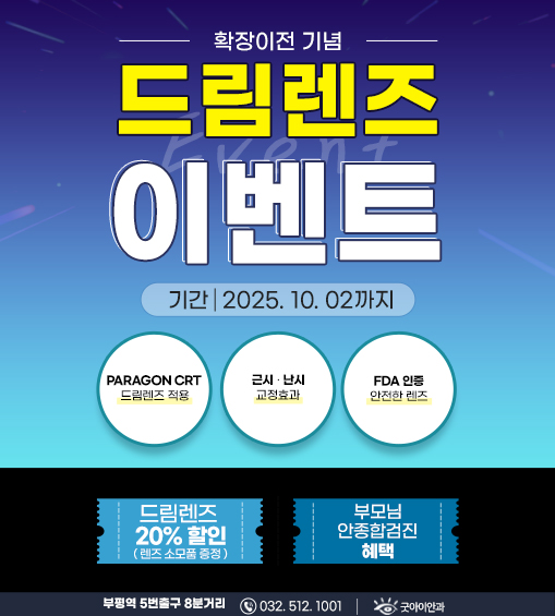 안내렌즈